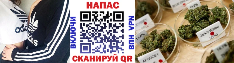 Наркошоп купить СОЛЬ  Кокаин  Псилоцибиновые грибы  Мефедрон  МАРИХУАНА  Гашиш  Магас